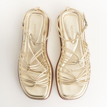 Papete multi tiras - OURO LIGHT