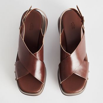 Plataforma Tachas - TERRA