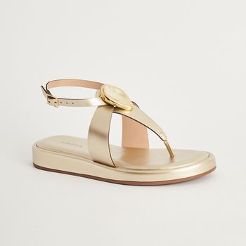 Papete Gota Metalizada - CHAMPAGNE